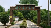 漫步合肥杜集生态鸟岛，感受乡村美景