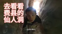 前往费县的仙人洞景区，山上还有几百年的古树，有很多树木都在夹缝中生存。