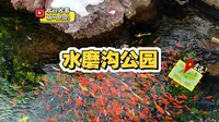 乌鲁木齐水磨沟公园！这里的雪景太美啦！
