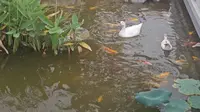 保定淮军公所博物馆