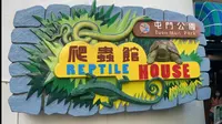 爬蟲館@香港 屯門公園 20211125
