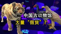 新晋网红中国古动物馆离“优秀”还有多远？【中国古动物馆-保定自然博物馆】