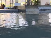 海水温泉♨️花蛤小镇