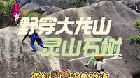 野穿灵山石树