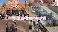 230305游湖南常德汉寿野生动物世界记（上）