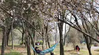 扬州春天踏青免费好去处~扬州蜀岗生态公园
