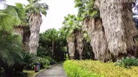 柳州园博园｜地址：广西壮族自治区柳州市鱼峰区博园大道35号｜门票：免费