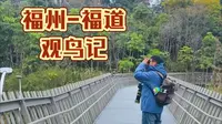 用过观鸟来感受福州-福道