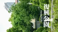 上海·复兴公园：一日看尽酷夏，半梦回溯起初