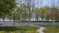 苏州湾吴江东太湖生态园，这里风景太美了，给大家简单的介绍一下