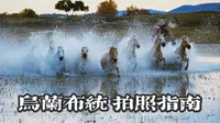 乌兰布统 | 将军泡子拍万马奔腾风光大片攻略