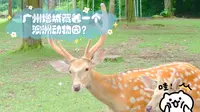 什么！？广州增城藏着一个澳洲动物园？《七彩澳游世界》
