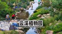 广州云溪植物园，地铁直达，无需爬山，城市中的宝藏公园，蹓娃好去处。