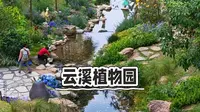广州云溪植物园，地铁直达，无需爬山，城市中的宝藏公园，蹓娃好去处。