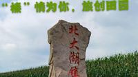 北大湖镇林果小镇采摘节