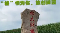 北大湖镇林果小镇采摘节