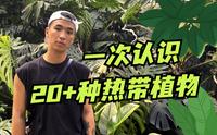 龟背竹也太太太大了吧！带你一次认识20种热带植物｜探访国家植物园热带植物温室 ｜绿植vlog