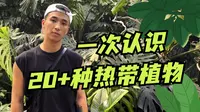 龟背竹也太太太大了吧！带你一次认识20种热带植物｜探访国家植物园热带植物温室 ｜绿植vlog