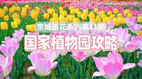 4.11实拍｜北京最大郁金香花海！国家植物园地图路线攻略