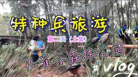 特种兵旅游第二天（上集）芒市孔雀谷森林公园，孔雀放飞，满园开屏的孔雀。