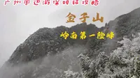 金子山保姆级攻略