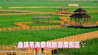 盘锦鼎翔：在苇海的呼吸间，寻一场北国的水乡旧梦
