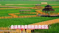 盘锦鼎翔：在苇海的呼吸间，寻一场北国的水乡旧梦
