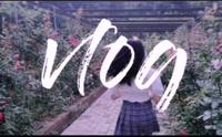 《抓住春天的尾巴》郴州南岭植物园哈哈哈