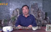 【老徐谈茶】第十八期： 传说中的临沧双江县勐库冰岛茶(上)
