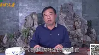 【老徐谈茶】第十八期： 传说中的临沧双江县勐库冰岛茶(上)