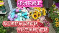 打卡扬州花都汇生态公园，当地最大的花鸟鱼虫市场，古玩字画市场