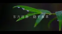 2025品斛堂企业宣传片
