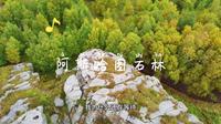 阿斯哈图石林景区航拍