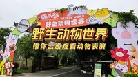 千万别错过猫爪谷的它！比电影还精彩的野生动物表演实录！