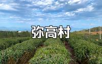 宦溪镇“弥高村”海拔约600米 春伦生态茶园 景色优美的世外桃源