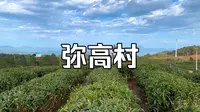宦溪镇“弥高村”海拔约600米 春伦生态茶园 景色优美的世外桃源