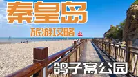 秦皇岛攻略-鸽子窝公园