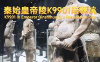 秦始皇帝陵K9901陪葬坑