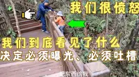 第75集 普洱的国家森林公园真的是太棒了，但是在里面让我们偶遇了一件事让我们极其之愤怒，决定必须曝光和吐槽！
