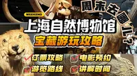 超详细！！！上海自然博物馆保姆级宝藏攻略