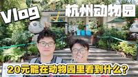 20元能在杭州动物园里看些什么？——杭州动物园打卡记录