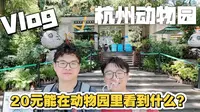 20元能在杭州动物园里看些什么？——杭州动物园打卡记录