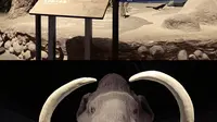 孩子眼里的世界 大庆博物馆