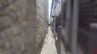 百色粤东会馆