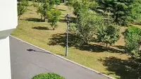 君顶酒庄