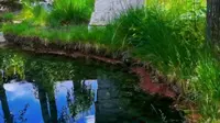 [西藏丨游玩]拉萨雄巴拉曲一日游