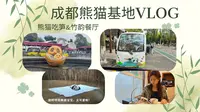 vlog｜成都熊猫基地怎么玩？🐼 看大熊猫吃竹笋＋打卡竹韵餐厅＋偶遇超萌熊猫宝宝｜Chengdu Panda Base｜小米丘XiaoMiChu