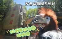 【云逛动物园系列】16.抚顺劳动公园动物园