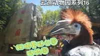 【云逛动物园系列】16.抚顺劳动公园动物园