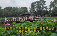 成都免费4A景区、西南唯一一祀祭二主是古蜀帝王陵望丛祠，荷花美！